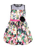 Branyork Multicoloured Printed Fit and Flare Dress